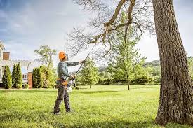 Best Commercial Tree Services  in Madison, WI