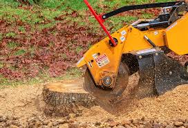 Best Lawn Irrigation Installation and Maintenance  in Madison, WI