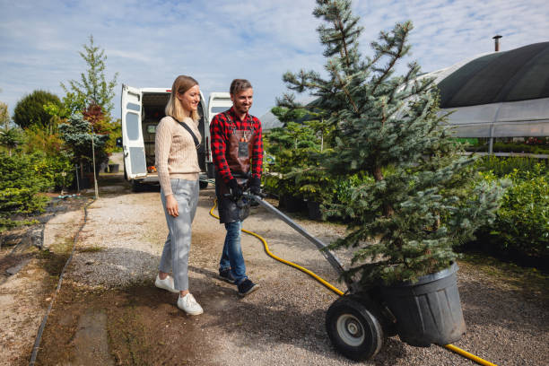 Best Lawn Grading and Leveling  in Madison, WI