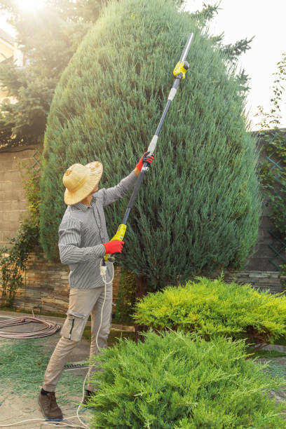 Best Soil Testing and Treatment  in Madison, WI
